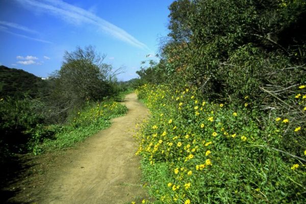 Fryman Canyon