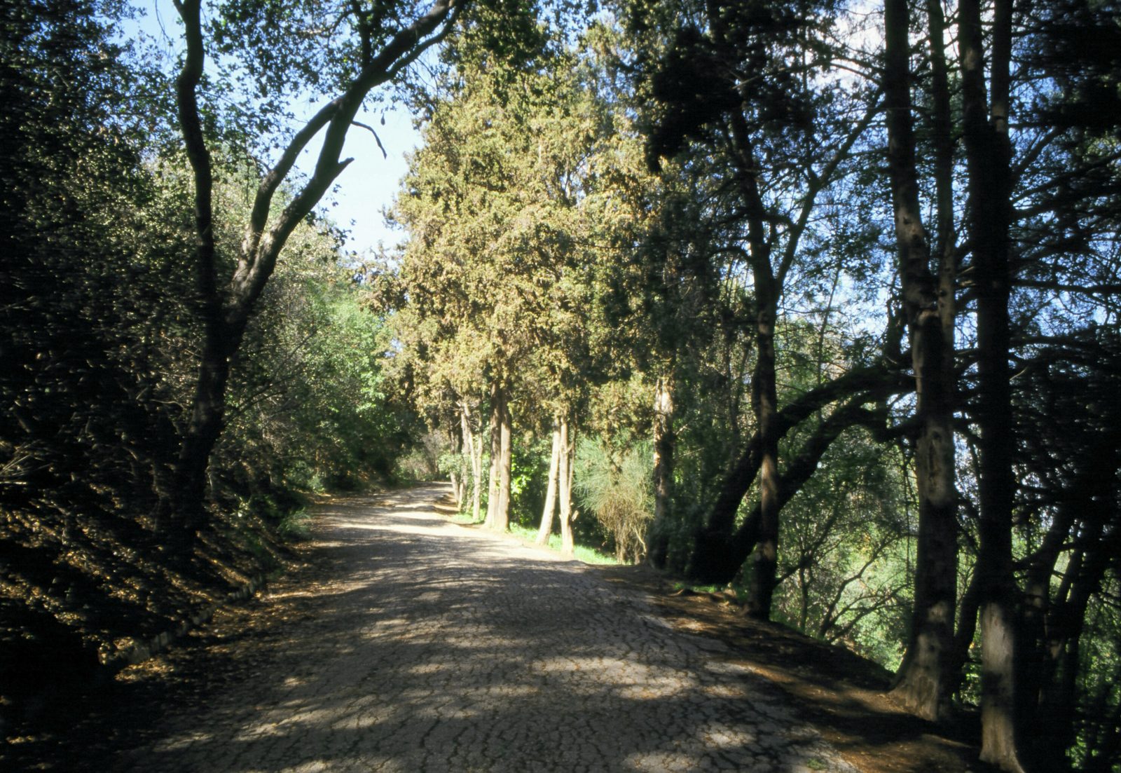 Fryman Canyon Park - MRCA | MRCA