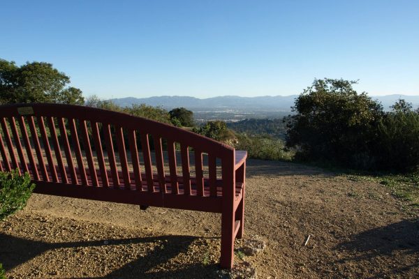 Marvin Braude Park Bench w view