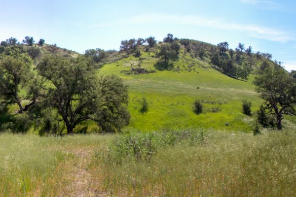 Upper Las Virgenes Open Space Preserve. Photo by Shawn Hinsey