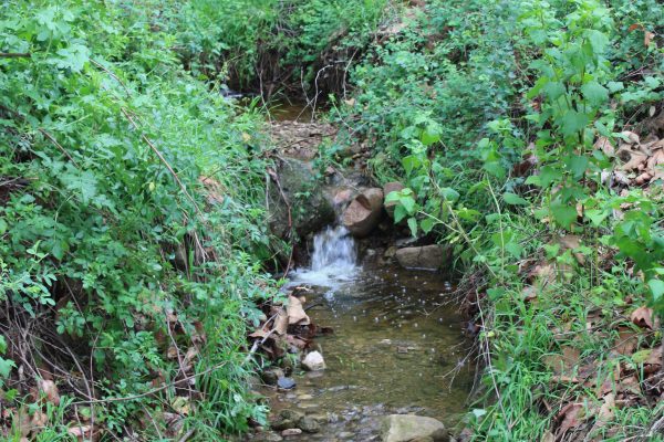 Creek in Fryman Canyon