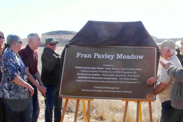 Fran Pavley Meadow