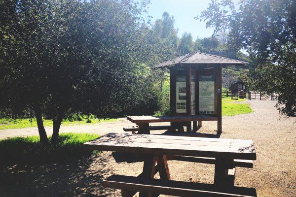 Picnic tables are located at the Victory Trailhead. Photo by Leigh Tran.
