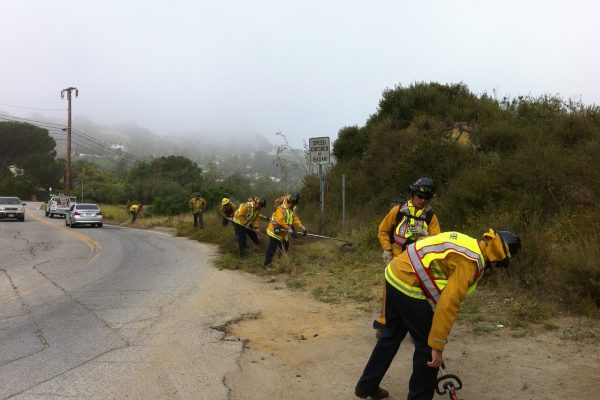 Mulholland Drive clean up