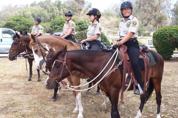 Mounted Volunteer Patrol