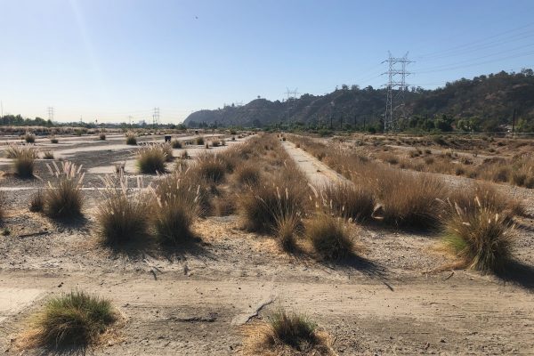 Photograph of Paseo del Río project site.